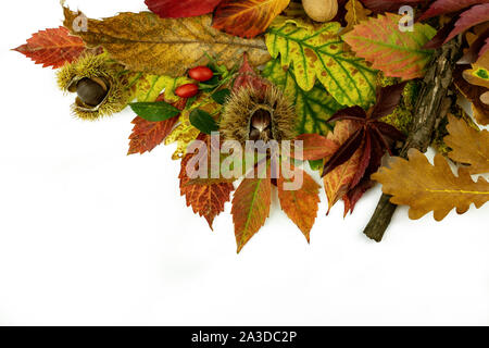 Bunte Blätter im Herbst und Renditen Ecke Rand auf weißem Hintergrund. Flach, Ansicht von oben. Stockfoto