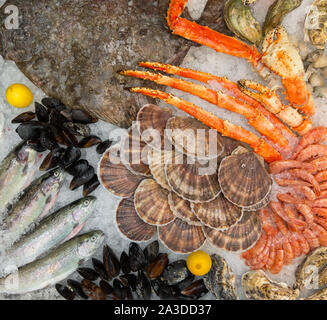 Verschiedene Meeresfrüchte auf Eis. Jakobsmuscheln, Muscheln, Krabben, Austern, Flunder. Stockfoto