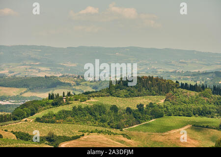 Luftaufnahme von erstaunlich ruhigen Italienischen grünen Landschaft im Sommer zwischen Hügeln und Feldern mit Bäumen und Weinbergen Stockfoto