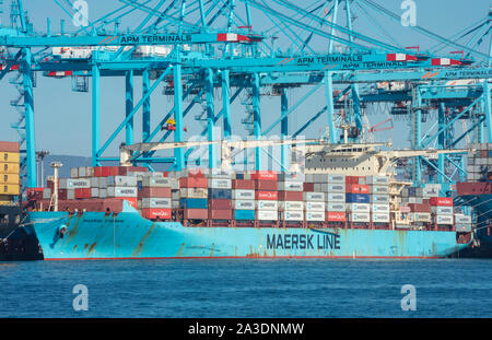 Algeciras Hafen, Spanien; Oktober//06/2019; M/v Maersk Chennai Container Schiff beladen an Maersk APM Terminals Container. Stockfoto