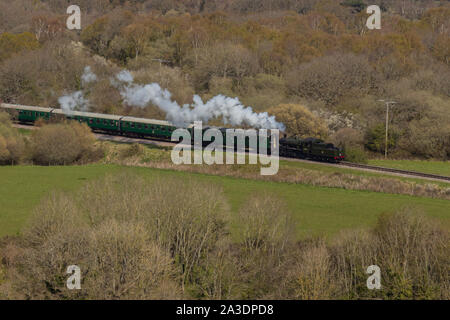 Eine Lok, Corfe Castle in der Nähe von Wareham, Dorset, Großbritannien Stockfoto
