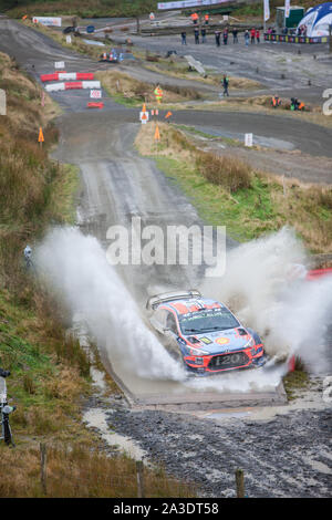 Auf einem nassen regnerischen Tag in der walisischen Hügel, First Run, Bühne SS 13 bei Sweet Lamm Hafren. FIA World Rally Championship WRC-GB-Rallye in Wales, Walisisch, UK, Samstag, 5. Oktober 2019. Wales Rally GB ist die britische Bein von einem Auto Rallye Motorsport World Series. Die Süße Lamm Hafren 15,96 km Stadium ist ein Fan, Fans, Zuschauer, Zuschauer, populär, wie der Rallye Cars über mehrere Meilen gesehen werden kann, da sie durch diese natürliche Schüssel Meander, mit mehreren kurvige Abschnitte, Serpentinen und Spritzwasser, Spritzwasser, für Treiber, Treiber und Co - Fahrer, Beifahrer um zu navigieren. Stockfoto