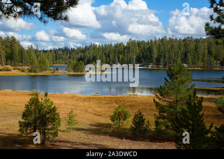 Cottonwood Meadow Lake, Fremont National Forest, Oregon Stockfoto