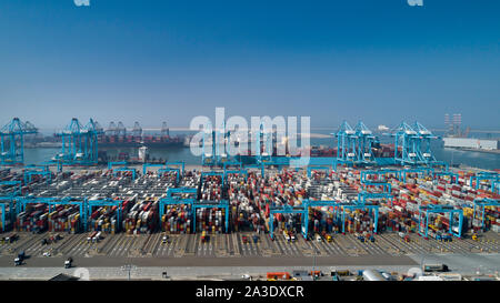 Große Hafenkrane laden Containerschiffe im Hafen Rotterdam Stockfoto
