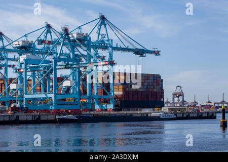 Rotterdam, Holland. Luftaufnahme des Containerterminals im Hafen MAASVLAKTE, Niederlande. Ein großes Containerschiff ist entladen Stockfoto