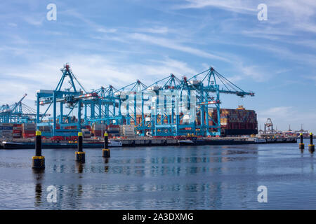 Rotterdam, Holland. Luftaufnahme des Containerterminals im Hafen MAASVLAKTE, Niederlande. Ein großes Containerschiff ist entladen Stockfoto