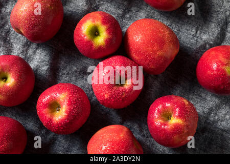 Raw rot Organic PInk Lady Äpfel bereit zu Essen Stockfoto