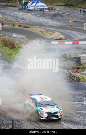 Auf einem nassen regnerischen Tag in der walisischen Hügel, First Run, Bühne SS 13 bei Sweet Lamm Hafren. FIA World Rally Championship WRC-GB-Rallye in Wales, Walisisch, UK, Samstag, 5. Oktober 2019. Wales Rally GB ist die britische Bein von einem Auto Rallye Motorsport World Series. Die Süße Lamm Hafren 15,96 km Stadium ist ein Fan, Fans, Zuschauer, Zuschauer, populär, wie der Rallye Cars über mehrere Meilen gesehen werden kann, da sie durch diese natürliche Schüssel Meander, mit mehreren kurvige Abschnitte, Serpentinen und Spritzwasser, Spritzwasser, für Treiber, Treiber und Co - Fahrer, Beifahrer um zu navigieren. Stockfoto