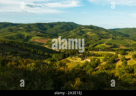 Weinberg in der Nähe von Volpaia Stadt im Chianti, in der Provinz von Siena. Toskana Landschaft. Italien Stockfoto