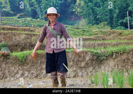 Vietnam Sa Pa Reisfeldern Menschen arbeiten am Garten 27-5-2019 Foto Jaco Klamer Stockfoto