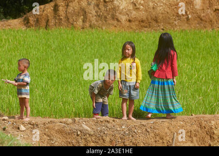 Vietnam Sa Pa Reisfeldern Menschen Kinder arbeiten am Garten 27-5-2019 Foto Jaco Klamer Stockfoto