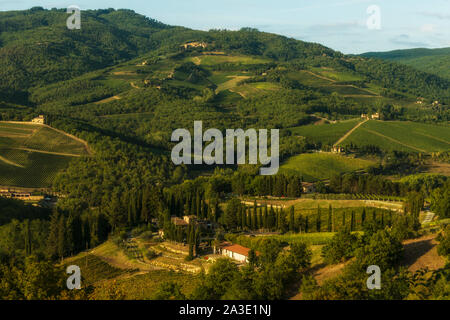 Weinberg in der Nähe von Volpaia Stadt im Chianti, in der Provinz von Siena. Toskana Landschaft. Italien Stockfoto