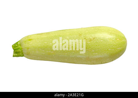 Weiß Zucchini auf weißem Hintergrund bereit, Designs zu verwenden Stockfoto