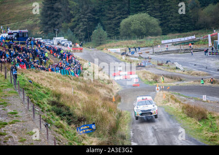 Auf einem nassen regnerischen Tag in der walisischen Hügel, First Run, Bühne SS 13 bei Sweet Lamm Hafren. FIA World Rally Championship WRC-GB-Rallye in Wales, Walisisch, UK, Samstag, 5. Oktober 2019. Wales Rally GB ist die britische Bein von einem Auto Rallye Motorsport World Series. Die Süße Lamm Hafren 15,96 km Stadium ist ein Fan, Fans, Zuschauer, Zuschauer, populär, wie der Rallye Cars über mehrere Meilen gesehen werden kann, da sie durch diese natürliche Schüssel Meander, mit mehreren kurvige Abschnitte, Serpentinen und Spritzwasser, Spritzwasser, für Treiber, Treiber und Co - Fahrer, Beifahrer um zu navigieren. Stockfoto