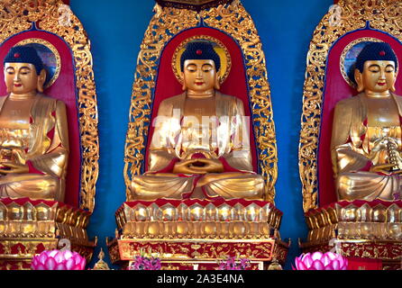 Meditieren Golden Buddha Statuen im Tempel der antiken Stadt Sanhe, Anhui, China Stockfoto