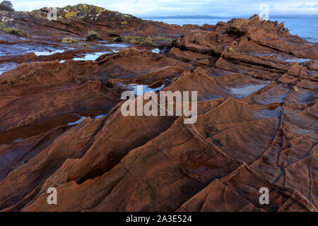 Sandsteinfelsen Muster an der Küste der Isle of Arran, Schottland. Stockfoto