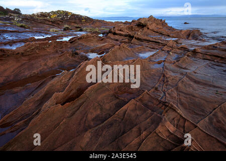 Sandsteinfelsen Muster an der Küste der Isle of Arran, Schottland. Stockfoto