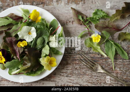 Schöne Mischung von Salaten mit Blumen auf einem weißen Teller. Diät Konzept. Ernährung für Mädchen. Gesund Vegan essen. Stockfoto