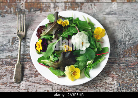 Schöne Mischung von Salaten mit Blumen auf einem weißen Teller. Diät Konzept. Ernährung für Mädchen. Gesund Vegan essen. Stockfoto