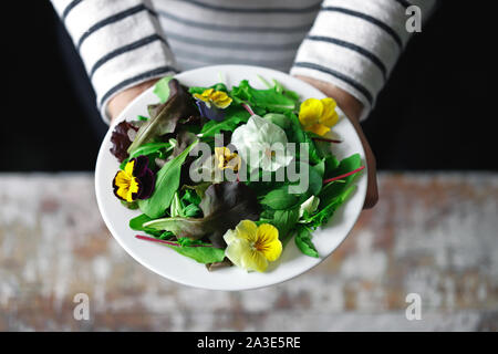 Selektive konzentrieren. Eine schöne Mischung aus Salaten mit Blumen auf einem weißen Teller wird von einem Mädchen statt. Diät Konzept. Gesund Vegan essen. Stockfoto