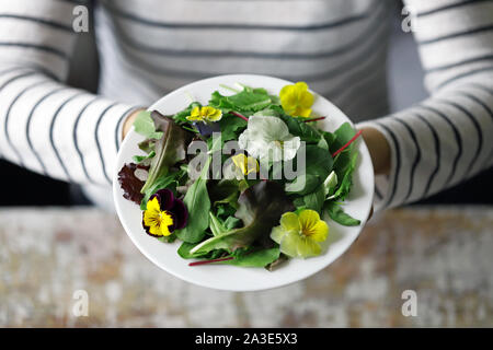 Selektive konzentrieren. Eine schöne Mischung aus Salaten mit Blumen auf einem weißen Teller wird von einem Mädchen statt. Diät Konzept. Gesund Vegan essen. Stockfoto