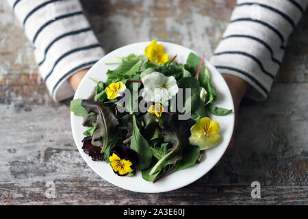 Selektive konzentrieren. Eine schöne Mischung aus Salaten mit Blumen auf einem weißen Teller wird von einem Mädchen statt. Diät Konzept. Gesund Vegan essen. Stockfoto