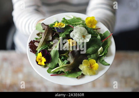 Selektive konzentrieren. Eine schöne Mischung aus Salaten mit Blumen auf einem weißen Teller wird von einem Mädchen statt. Diät Konzept. Gesund Vegan essen. Stockfoto