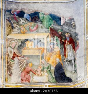 Geburt Christi, freskenzyklus über das Leben von Maria von Ottaviano Nelli, 1408-13, Gothic, San Francesco, Gubbio, Provinz Perugia, Umbrien, Italien Stockfoto