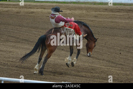 Bronco - sprengende Cowboy am Rodeo Stockfoto