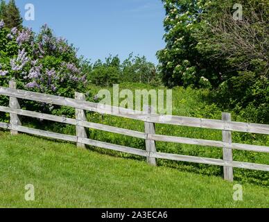 Einen rustikalen hölzernen Zaun trennt das gemähte Gras von der Wildblumen in der Nähe von Cap de Bon Desir, Quebec, Kanada. Stockfoto