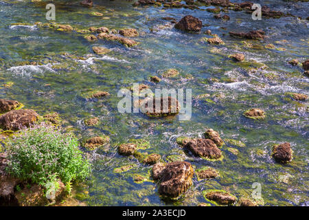 Steine im fließenden Wasser der mountain river Stockfoto
