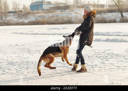 Stilvolle Kerl Spaziergang mit dem Hund. Spaß im Schnee spielen im Freien. Spielerische. Tierliebhaber. Deutscher Schäferhund genießen Sie die Freiheit. Freunde zusammen. Lustige e Stockfoto