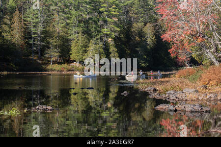 Immergrün und Laubbäume in den stillen Wassern des Barron River im Herbst am frühen Morgen Licht reflektiert Stockfoto