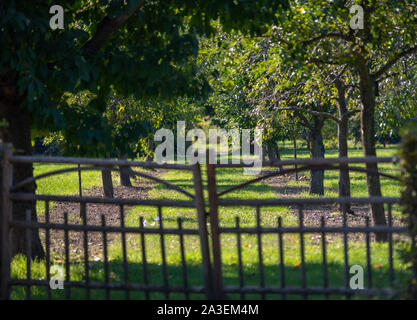 Potsdam, Deutschland. 07 Okt, 2019. Zahlreiche Obstbäume stehen in einem Garten in der Russischen Kolonie Alexandrowka. König Friedrich Wilhelm III. von Preußen hatte die Siedlung in 1826/27 für die letzten zwölf russischen Sänger eines Chores ehemals bestehend aus 62 Soldaten gebaut. Es ist ein UNESCO-Weltkulturerbe in Potsdam seit 1999. Credit: Monika Skolimowska/dpa-Zentralbild/dpa/Alamy leben Nachrichten Stockfoto