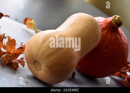 Herbst home Dekoration Konzept. Butternut-kürbis lehnte sich auf dunklen orange Hokkaido Kürbis, Nahaufnahme und gekippten Perspektive. Stockfoto