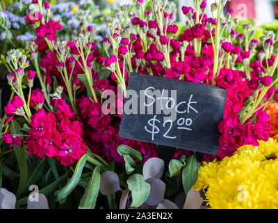 Lager 2 Dollar Sign 2 Dollar Chalk im Blumenladen Stockfoto