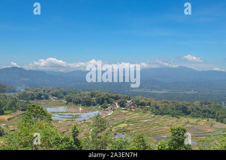 Traditionelle Alang Reis Scheune, Rantepao, Tana Toraja, South Sulawesi, Indonesien. Alang Häuser haben eine Unterscheidung Boot - geprägt. Stockfoto