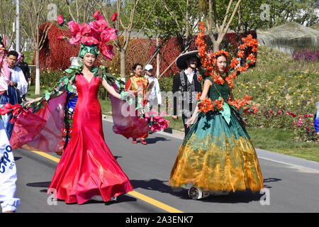 Peking, Peking, China. 8. Oktober, 2019. Peking float Parade in Peking Internationalen Gartenschau 2019. Es wird berichtet, dass die Float-Parade ist eine reguläre Leistung jeden Tag im Park statt, die 180 Leistungen entlang der Route der Park durchführen, mit frischen Blumen und dreidimensionalen Grün schnitzereien als kreative Elemente, 10'' ökologischen schwebt'' 10 Meter lang, 5 Meter breit und 7 Meter hoch, mit 10 Gruppen von Leistung. Credit: ZUMA Press, Inc./Alamy leben Nachrichten Stockfoto