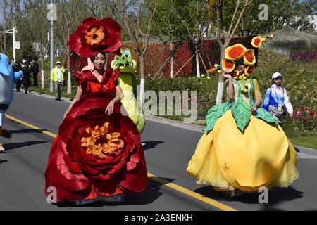 Peking, Peking, China. 8. Oktober, 2019. Peking float Parade in Peking Internationalen Gartenschau 2019. Es wird berichtet, dass die Float-Parade ist eine reguläre Leistung jeden Tag im Park statt, die 180 Leistungen entlang der Route der Park durchführen, mit frischen Blumen und dreidimensionalen Grün schnitzereien als kreative Elemente, 10'' ökologischen schwebt'' 10 Meter lang, 5 Meter breit und 7 Meter hoch, mit 10 Gruppen von Leistung. Credit: ZUMA Press, Inc./Alamy leben Nachrichten Stockfoto