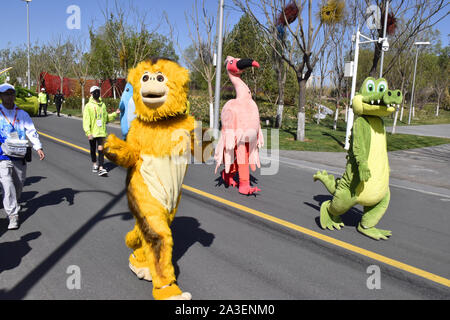 Peking, Peking, China. 8. Oktober, 2019. Peking float Parade in Peking Internationalen Gartenschau 2019. Es wird berichtet, dass die Float-Parade ist eine reguläre Leistung jeden Tag im Park statt, die 180 Leistungen entlang der Route der Park durchführen, mit frischen Blumen und dreidimensionalen Grün schnitzereien als kreative Elemente, 10'' ökologischen schwebt'' 10 Meter lang, 5 Meter breit und 7 Meter hoch, mit 10 Gruppen von Leistung. Credit: ZUMA Press, Inc./Alamy leben Nachrichten Stockfoto