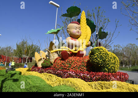 Peking, Peking, China. 8. Oktober, 2019. Peking float Parade in Peking Internationalen Gartenschau 2019. Es wird berichtet, dass die Float-Parade ist eine reguläre Leistung jeden Tag im Park statt, die 180 Leistungen entlang der Route der Park durchführen, mit frischen Blumen und dreidimensionalen Grün schnitzereien als kreative Elemente, 10'' ökologischen schwebt'' 10 Meter lang, 5 Meter breit und 7 Meter hoch, mit 10 Gruppen von Leistung. Credit: ZUMA Press, Inc./Alamy leben Nachrichten Stockfoto