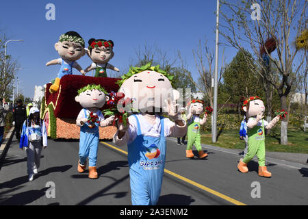 Peking, Peking, China. 8. Oktober, 2019. Peking float Parade in Peking Internationalen Gartenschau 2019. Es wird berichtet, dass die Float-Parade ist eine reguläre Leistung jeden Tag im Park statt, die 180 Leistungen entlang der Route der Park durchführen, mit frischen Blumen und dreidimensionalen Grün schnitzereien als kreative Elemente, 10'' ökologischen schwebt'' 10 Meter lang, 5 Meter breit und 7 Meter hoch, mit 10 Gruppen von Leistung. Credit: ZUMA Press, Inc./Alamy leben Nachrichten Stockfoto