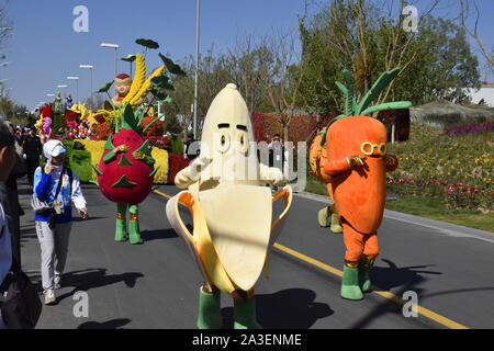Peking, Peking, China. 8. Oktober, 2019. Peking float Parade in Peking Internationalen Gartenschau 2019. Es wird berichtet, dass die Float-Parade ist eine reguläre Leistung jeden Tag im Park statt, die 180 Leistungen entlang der Route der Park durchführen, mit frischen Blumen und dreidimensionalen Grün schnitzereien als kreative Elemente, 10'' ökologischen schwebt'' 10 Meter lang, 5 Meter breit und 7 Meter hoch, mit 10 Gruppen von Leistung. Credit: ZUMA Press, Inc./Alamy leben Nachrichten Stockfoto