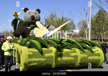 Peking, Peking, China. 8. Oktober, 2019. Peking float Parade in Peking Internationalen Gartenschau 2019. Es wird berichtet, dass die Float-Parade ist eine reguläre Leistung jeden Tag im Park statt, die 180 Leistungen entlang der Route der Park durchführen, mit frischen Blumen und dreidimensionalen Grün schnitzereien als kreative Elemente, 10'' ökologischen schwebt'' 10 Meter lang, 5 Meter breit und 7 Meter hoch, mit 10 Gruppen von Leistung. Credit: ZUMA Press, Inc./Alamy leben Nachrichten Stockfoto
