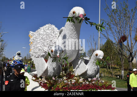 Peking, Peking, China. 8. Oktober, 2019. Peking float Parade in Peking Internationalen Gartenschau 2019. Es wird berichtet, dass die Float-Parade ist eine reguläre Leistung jeden Tag im Park statt, die 180 Leistungen entlang der Route der Park durchführen, mit frischen Blumen und dreidimensionalen Grün schnitzereien als kreative Elemente, 10'' ökologischen schwebt'' 10 Meter lang, 5 Meter breit und 7 Meter hoch, mit 10 Gruppen von Leistung. Credit: ZUMA Press, Inc./Alamy leben Nachrichten Stockfoto