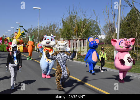Peking, Peking, China. 8. Oktober, 2019. Peking float Parade in Peking Internationalen Gartenschau 2019. Es wird berichtet, dass die Float-Parade ist eine reguläre Leistung jeden Tag im Park statt, die 180 Leistungen entlang der Route der Park durchführen, mit frischen Blumen und dreidimensionalen Grün schnitzereien als kreative Elemente, 10'' ökologischen schwebt'' 10 Meter lang, 5 Meter breit und 7 Meter hoch, mit 10 Gruppen von Leistung. Credit: ZUMA Press, Inc./Alamy leben Nachrichten Stockfoto