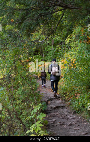 Mutter und Kind zu Fuß in Wald im Herbst im Park, von hinten gesehen, Teleobjektiv. Gatineau Park, Quebec, Ontario. Stockfoto