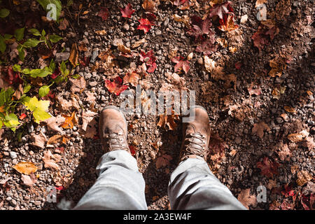 Mann, der auf der Erde mit viel orange Ahorn Blätter im Herbst in Kanada. Stockfoto