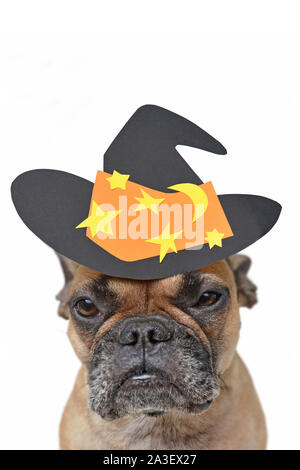 Lustige Portrait von eine französische Bulldogge Hund trägt ein Papier Halloween Hexenhut mit verärgerten finsteren Gesichtsausdruck isolatd auf weißem Hintergrund Stockfoto