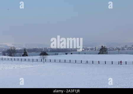 Winterlandschaft früh morgens nach einem leichten sknowfall in Zug in der Schweiz. Mit Spuren im Schnee und Bäume Stockfoto